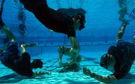 underwater seal training test